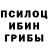 Псилоцибиновые грибы Cubensis Veniamin Kojevin