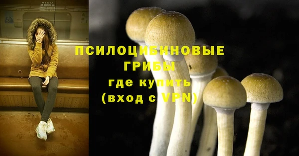 круглые Лагань
