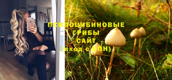 круглые Лагань