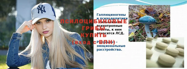 круглые Лагань