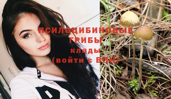 круглые Ладушкин