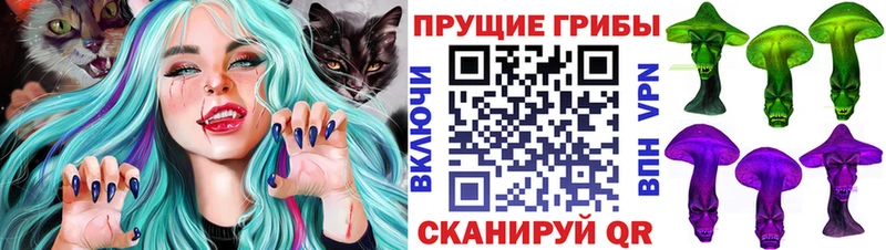 Псилоцибиновые грибы Cubensis  купить наркоту  Шумиха 